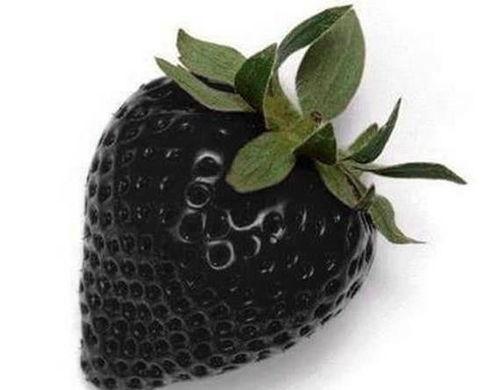 永久黑料正能量首页吃瓜,吃瓜群众的狂欢盛宴